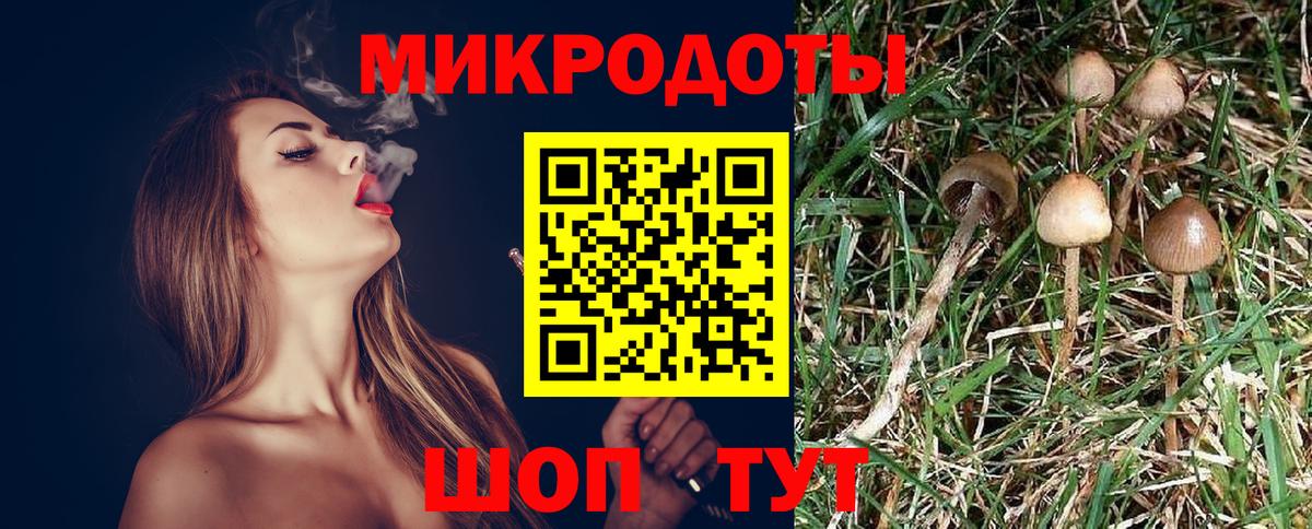 Кувандык  Псилоцибиновые грибы Cubensis  Вход с VPN 